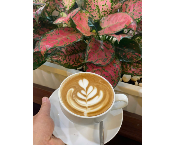 Latte